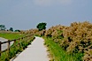 Lignano In Bicicletta