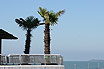 Palme Sulla Terrazza Mare Lignano Sabbiadoro