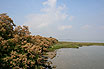 Vista Laguna Lignano Sabbiadoro