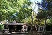 Das Kamel im Zoo Punta Verde Lignano